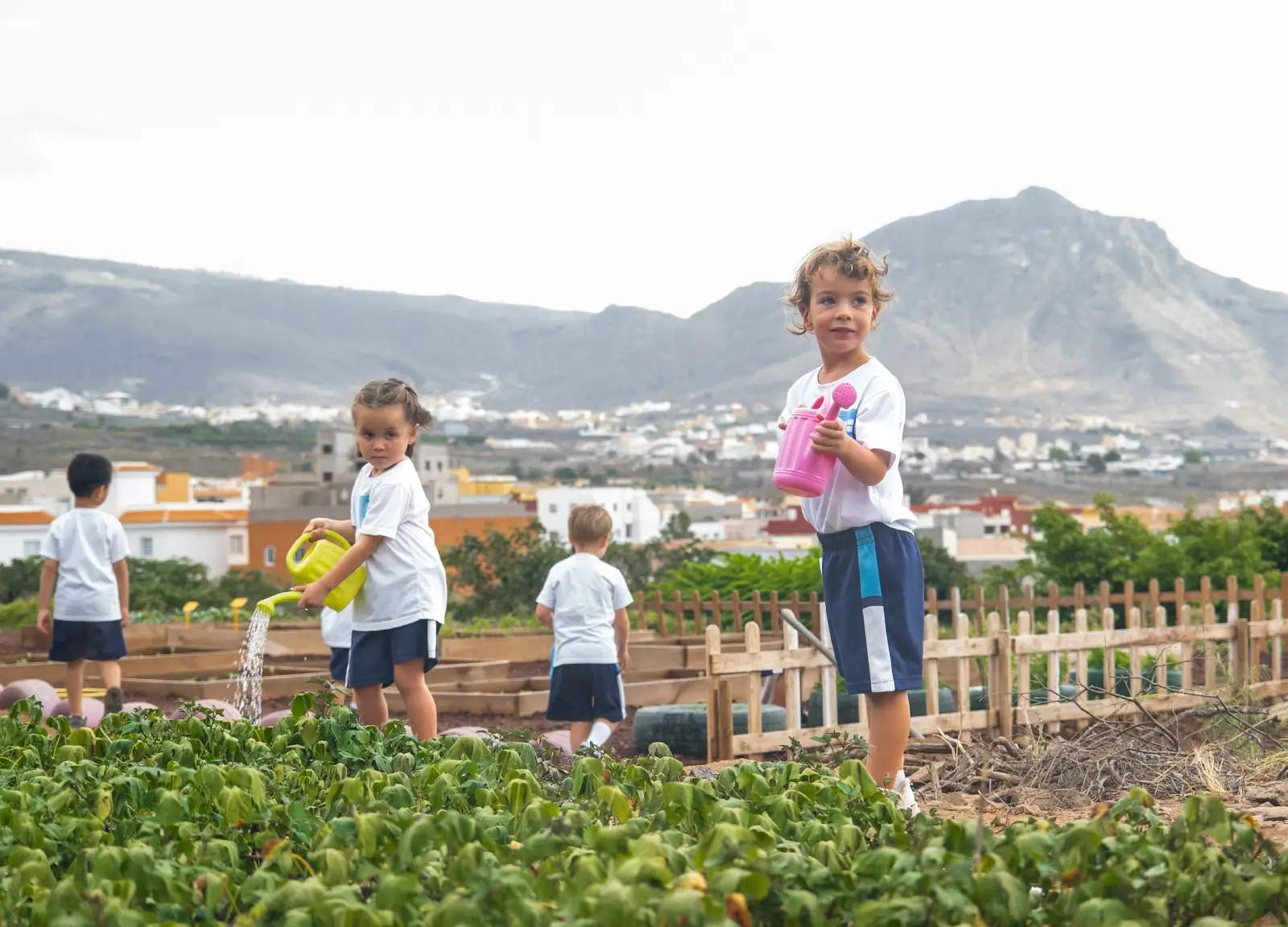 Foundation Course Wingate School