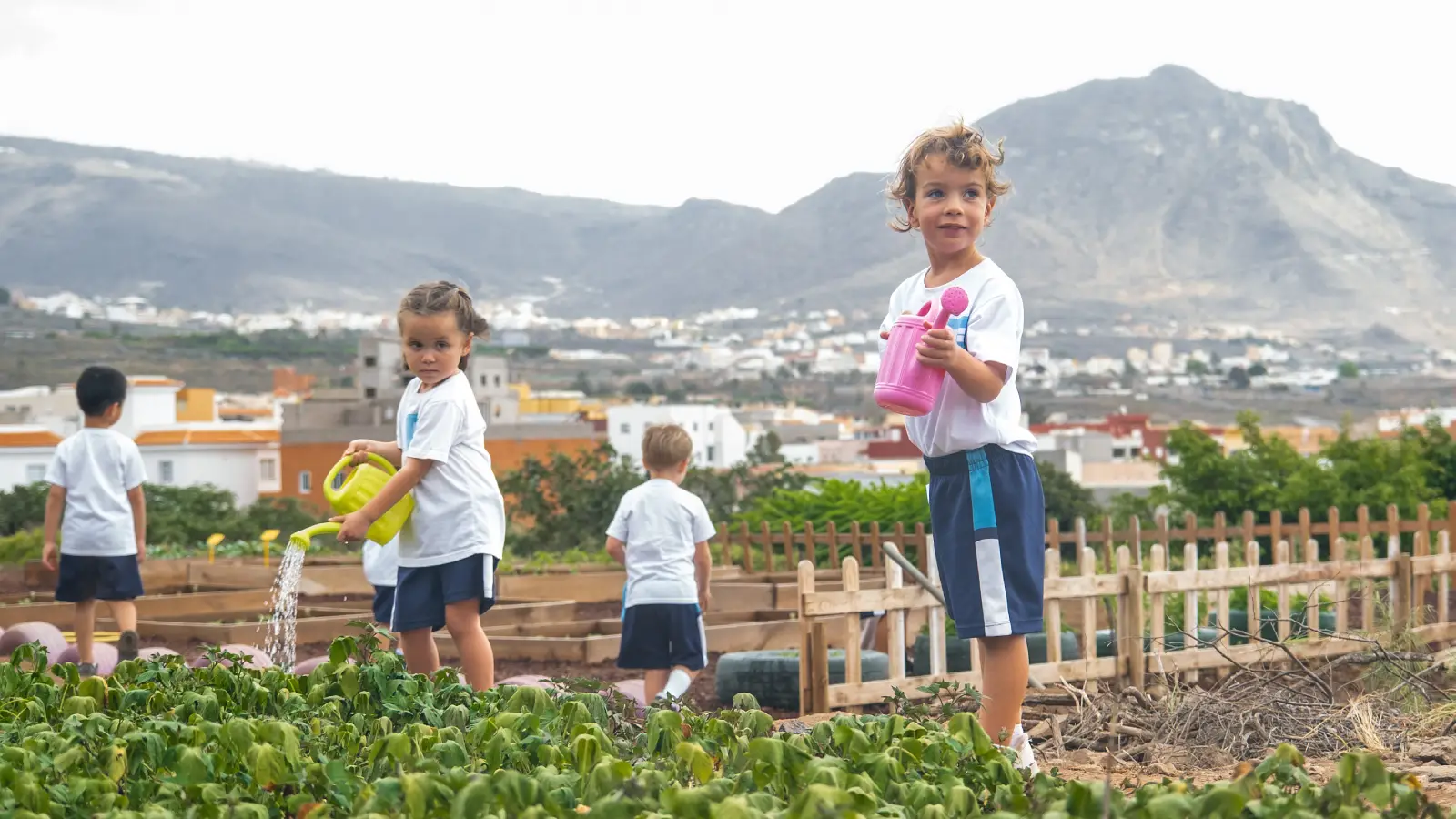 Primary Course Wingate School